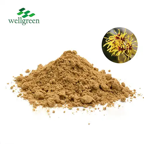 Witch Hazel Extract Powder